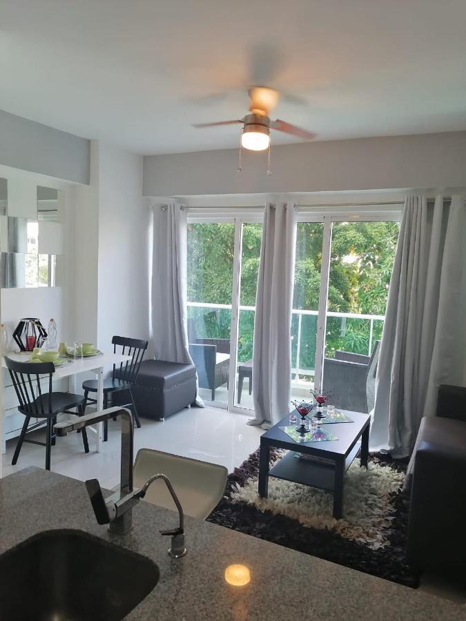 Armonia 408 Apartment In Gazcue Santo Domingo Kültér fotó